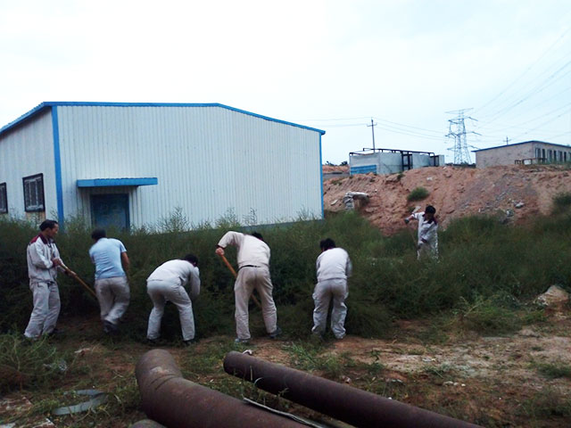 20250216194656.jpg 261127347502.jpg