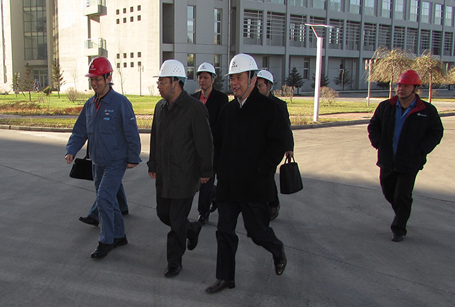 20250216296145.jpg 1.jpg